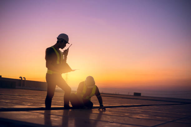 Best Roof Moss and Algae Removal  in Leland Grove, IL